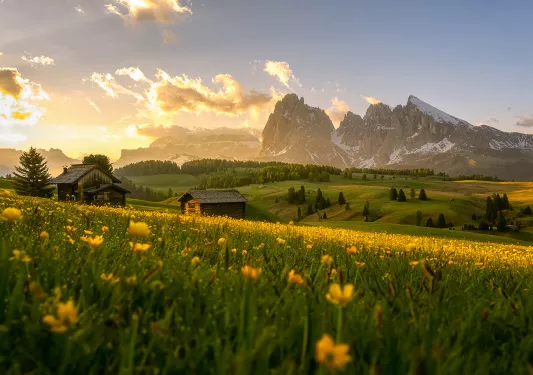 Large grass valley with yellow flowers and mountains in the distance