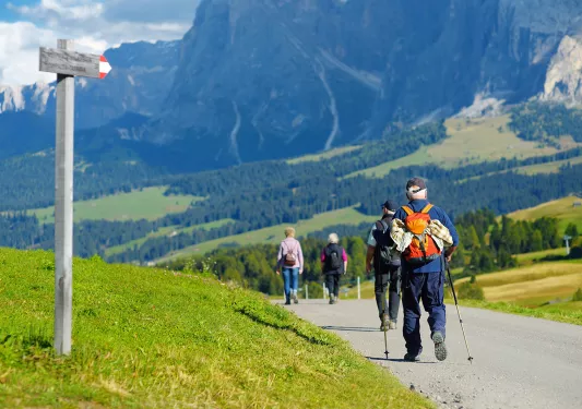 Group of people with walking poles, walking through a road with mountains in the distance
