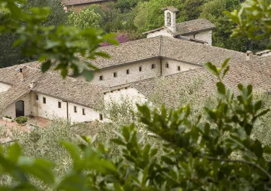 Sky view of a rustic, stone building surrounded by tall, green trees