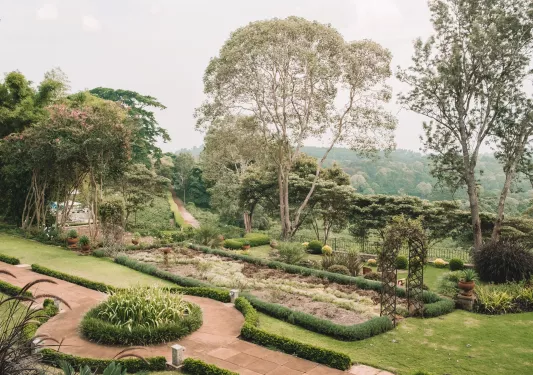Outdoor garden with large trees and trimmed bushes