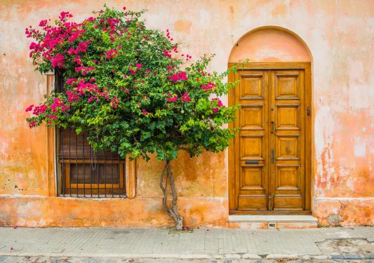 Exterior view of orange building with a small tree in front