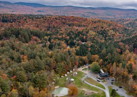 Large forest with red and green leaves, with a building in the middle