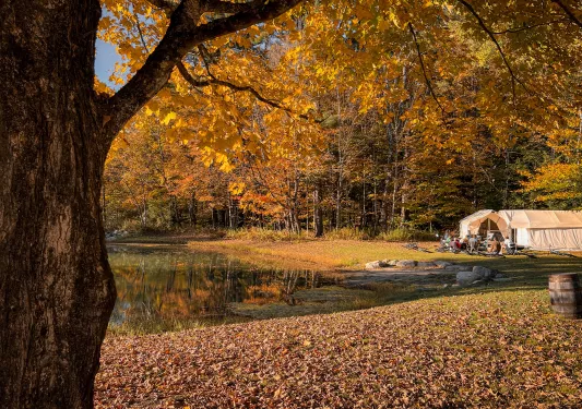 Outdoor field with leaves on the floor and a lake in front