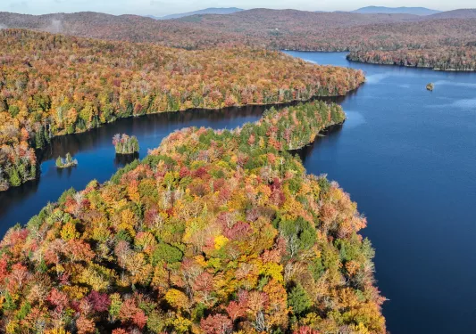 Large forest with green, yellow and orange trees with a lake to the right