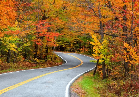 Empty road surrounded by red, orange and yellow leaves on trees