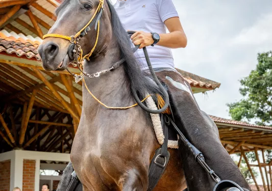Man riding a horse in front of a cabin building