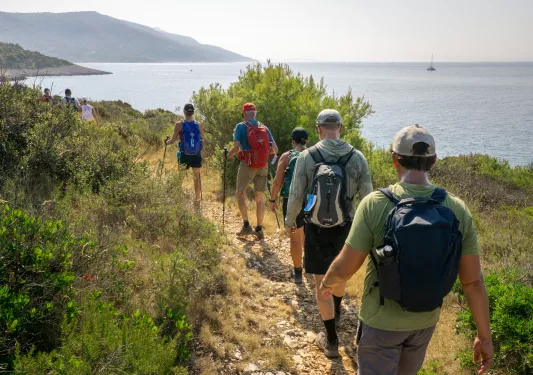 Group of men and women hiking on a dirt trail, surrounded by plants and the ocean to the right