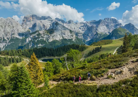 3 hikers descending a trail surrounded by trees and tall mountains
