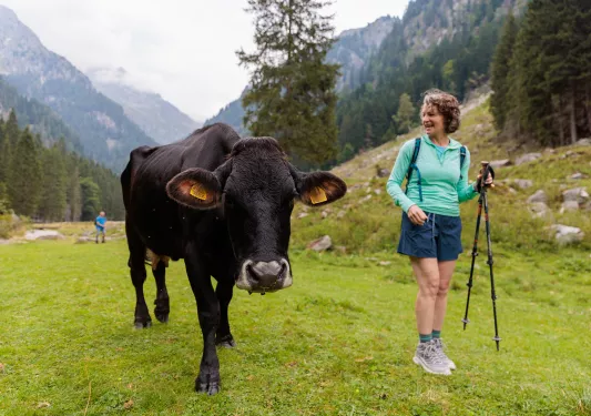 Woman in a green shirt, walking next to a cow on an empty field