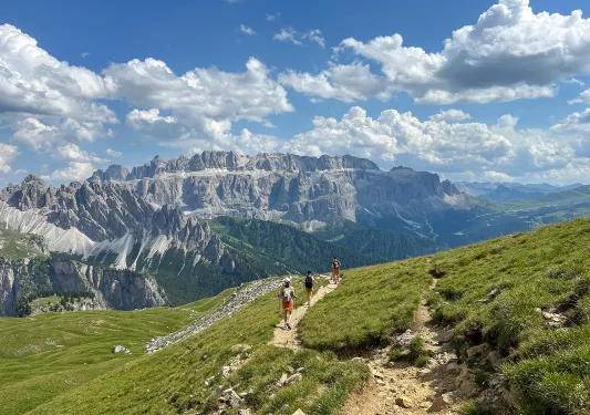 Backroads guests walking on a winding road towards a mountain