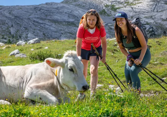 Two women kneeling down and smiling, while looking at a cow laying down