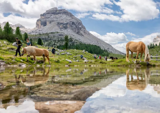 Horses walking by a pond, with a group of people walking behind