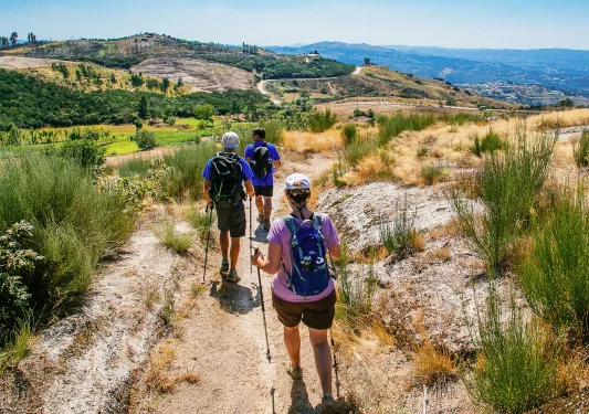Group of people hiking on a dirt trail while using hiking poles