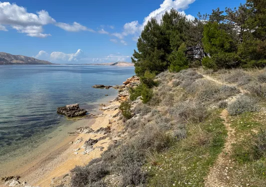 Small hill with trees and plants, with the ocean to the left
