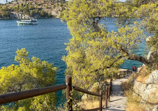 Staircase surrounded by trees, leading to the ocean