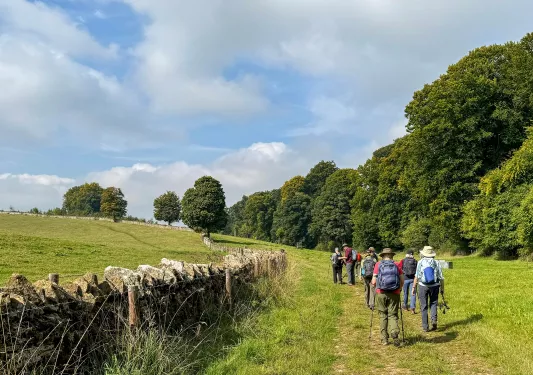 Group of people walking on a grassy trail with a forest to the right