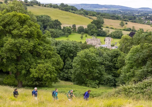 Group of people walking across a grassy valley surrounded by tall trees