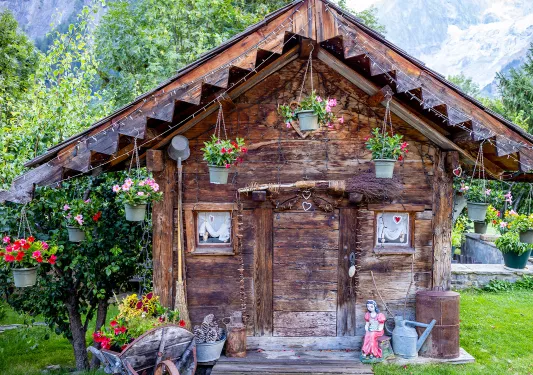 Wooden cabin with plants hanging from the roof