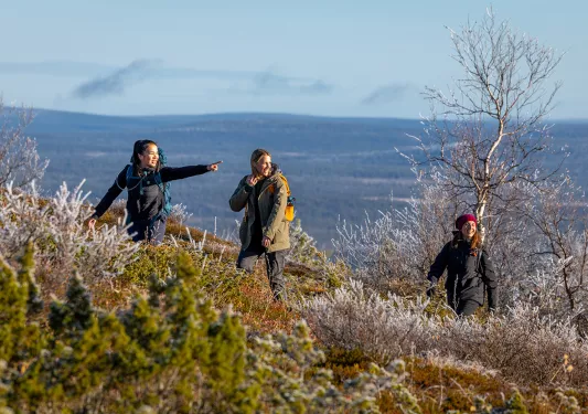 Group of three women ascending a hill, surrounded by plants and dried trees