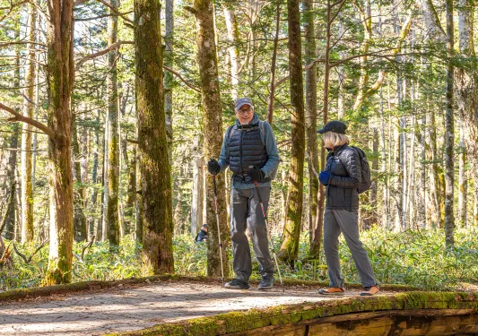 Man and woman using hiking poles, walking across a stone bridge in a forest