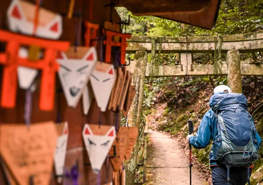 Person walking along a stone path, with a wall full of fox paintings