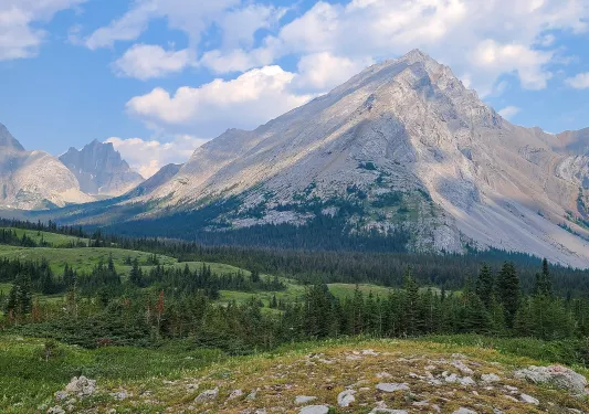 Large grass valley, with tall mountains in the distance