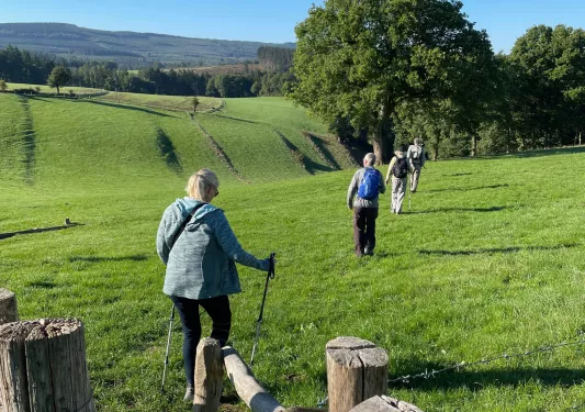 Group of people hiking in a straight line in the middle of a grassy valley