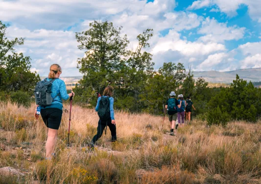 Group of people hiking along tall weeds on a dirt trail