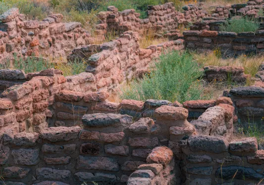 Ruins of a stone and brick building with large weeds growing from the ground