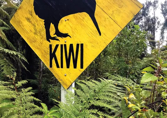 Yellow kiwi bird sign, surrounded by large plants