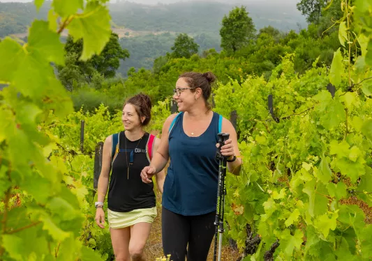 Two women walking along crop fields with walking poles