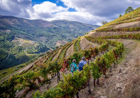 Man and woman hiking up a hill of crop fields
