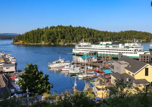 Wide view of a lake and boats docked by the shore