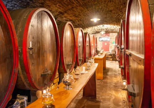 Wine cellar with large barrels and tall, wooden tables