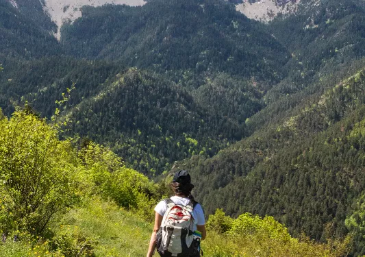Woman descending a grassy trill, looking out towards large mountains