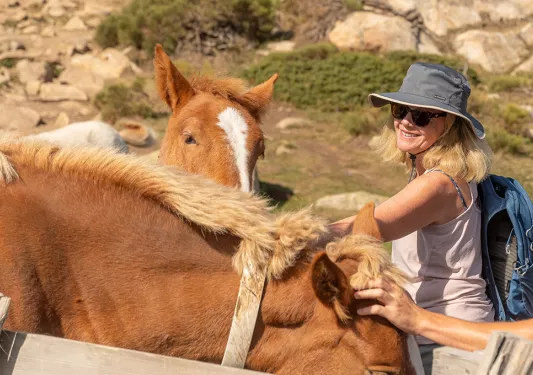 Woman in the middle of a valley, petting two horses