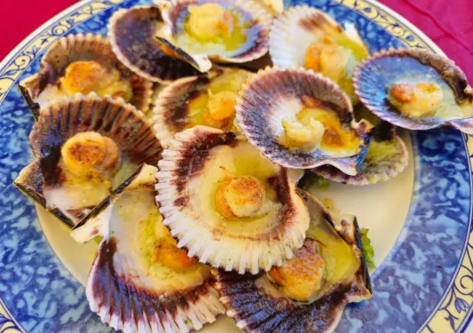 Scallops in their shells, grilled and put on a plate
