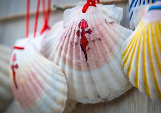 Pink and yellow sea shells with paintings on them