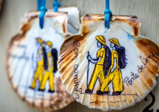 Seashells with paintings on them