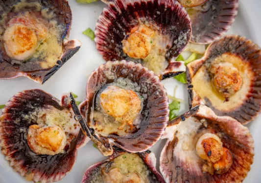 Scallops in their shells, grilled and put on a plate