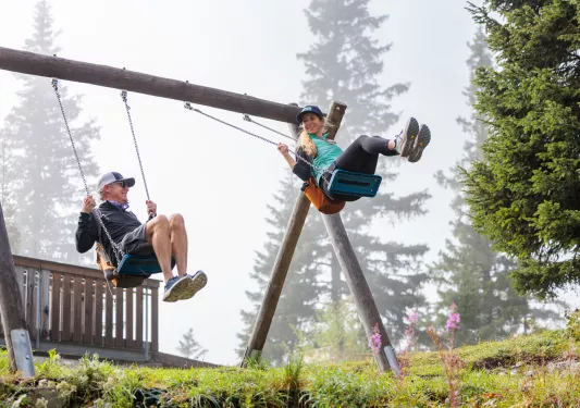 two backroads guests on a swingset