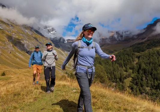 Guest laying in a field with cows