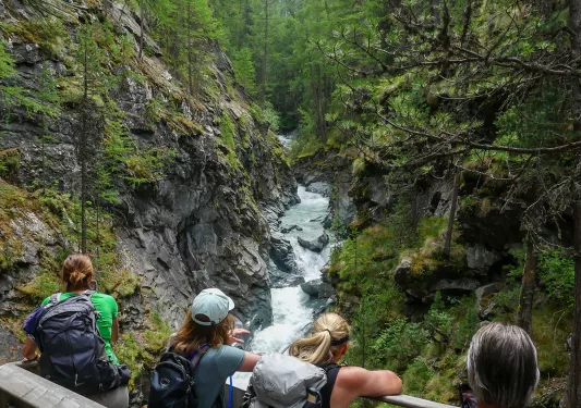 Group of people standing on a bridge looking towards an active river