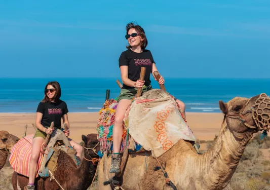 Group of women riding on top of camels