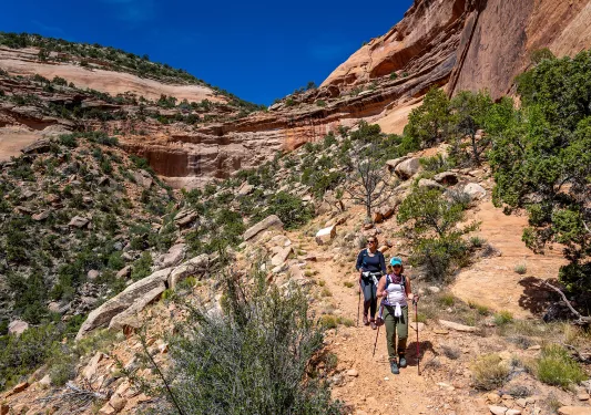 Two backroads guests hike through a dry desert trail