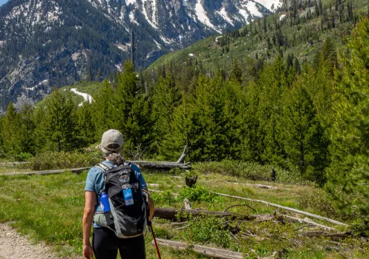 Woman with a hiking pole, walking through a dirt trail surrounded by a large forest