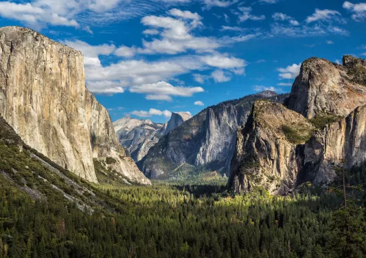 Forest surrounded by tall mountains
