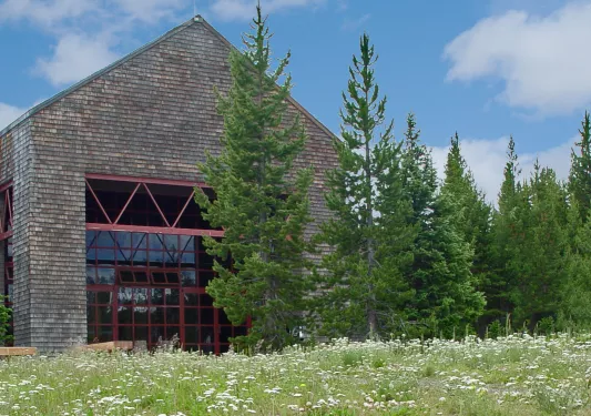 Exterior view of brick house with tall trees and a grass field in front