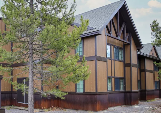 Exterior view of brown hotel building with a tree in front