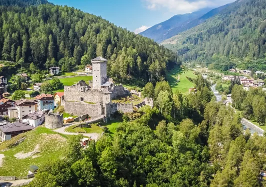 Large, stone castle with a large forest surrounding it